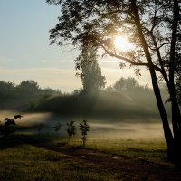 Утро :: Валерий Чернов