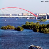 Бугринский мост. Новосибирск :: Наталья Солнышко