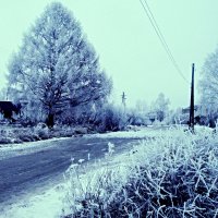 зимняя дорога :: Юлия 