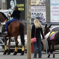 Ослу крупно повезло :: Валерий Чепкасов