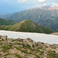 Снег и цветы рядом в горах :: Горный турист Иван Иванов