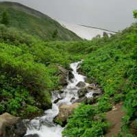 Где то там начало водопада. :: Любовь Иванова