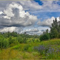 Летняя пора :: Александр Гурьянов