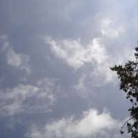 Облака плывут над Маалотом! :: Марк 