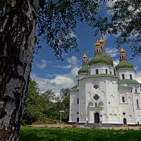 Во всей красе... :: Александр Бойко