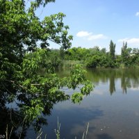 Озеро в ростовском зоопарке :: Нина Бутко