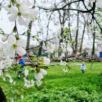 Весна :: Татьяна Бызова