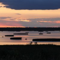 Умирающее озеро Цевло :: Нелли Денисова