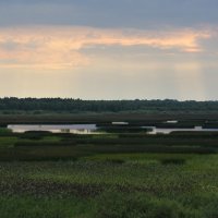 Умирающее озеро Цевло :: Нелли Денисова
