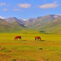 Киргизия :: Андрей Гомонов
