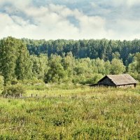 Домик в деревне :: Дмитрий Конев