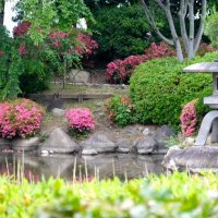Японский сад :: Тимур 