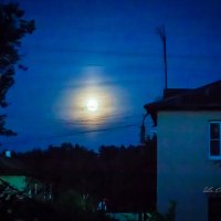 Лунная ночь :: Ева Олерских