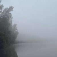 Туман :: Виталий Шимко