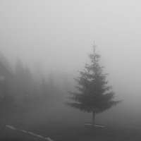 Туман :: Александр Демченко