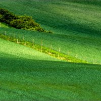 Зеленые волны Моравии :: Инга Кондрашова 