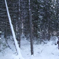 Буковель :: Андрей  Васильевич Коляскин