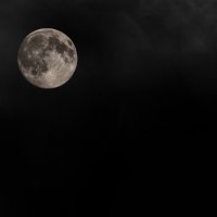 30.07.2015 полная луна :: darovit foto