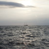 Море :: Николай Сухоруков