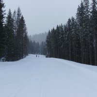 Буковель :: Андрей  Васильевич Коляскин