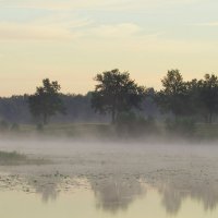 Перед рассветом... :: Наталья 