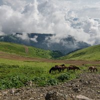 Кавказ :: Николай Куле 