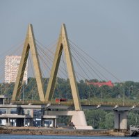 Мост "Миллениум" :: Наталья Серегина