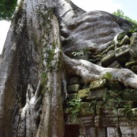 Камбоджа, храм "Та Пром" :: Андрей 