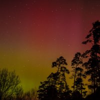 Aurora borealis. Северное сияние над Ригой 2015 :: Ольга Блум