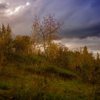 Осенний пейзаж :: Катя Шерабурко