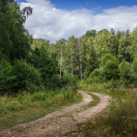 Дорога в летний лес :: Владимир Буравкин