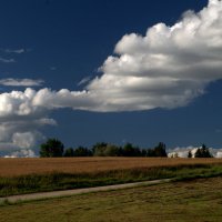 Небесные рейтингию :: Айвар Вилюмсон