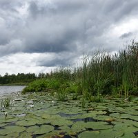 На озере Круглом :: Валерий Талашов