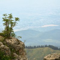 в скале :: Горный турист Иван Иванов