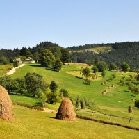 Карпатские зарисовки. :: Дмитрий Цымбалист