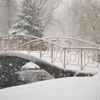 Зима в парке :: Alexandra Shusha
