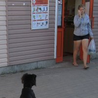 Собакин встречает хозяйку. :: Sergey Serebrykov