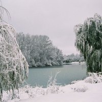 Сормовское озеро в ноябре :: Николай Полыгалин