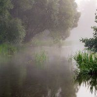 Пейзаж :: Владимир 