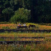 «Сельский пейзаж» :: Aleks Nikon.ua