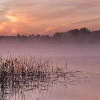 Рассвет на берегу Виесите (Латвия) во время фестиваля FotoFest-2015 21-23. Августа 2015 :: Jevgenija St