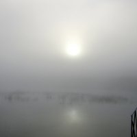 Рассвет в густом тумане. :: Мила Бовкун