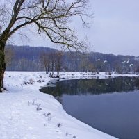 Неприкаенные :: Евгений Дубовцев