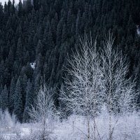 Зима в горах :: Alexey alexeyseafarer@gmail.com
