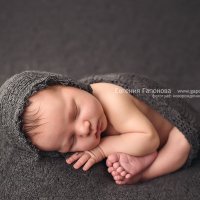 Фотограф новорожденных Краснодар :: Евгения Гапонова