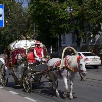 Альтернатива :: Саша Милашкин