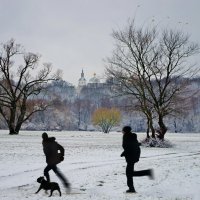 Прогулка по зимнему лугу :: Евгений Дубовцев