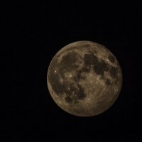 одинокая Луна.. :: Taras Oreshnikov