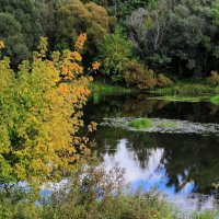 Поджигает осень тайны лета... :: Лесо-Вед (Баранов)