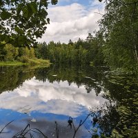 р. Керженец :: Светлана Шишова